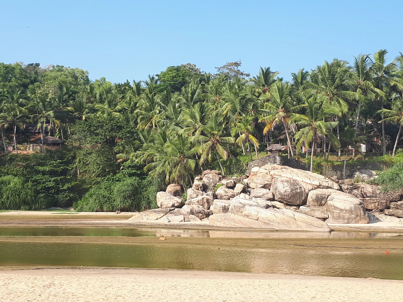 Yoga en Inde, voyage en Inde du sud, yoga et ayurvéda dans le Kerala